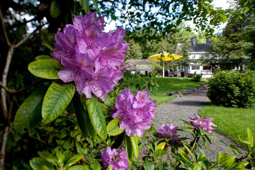 Romantik Stryckhaus Hotel Willingen (Upland)